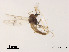  ( - XL996)  @11 [ ] CreativeCommons - Attribution Non-Commercial Share-Alike (2019) Xiaolong Lin College of Life Sciences, Nankai University