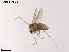  ( - ZJ015)  @11 [ ] CreativeCommons-Attribution Non-Commercial Share-Alike (2020) Xiaolong Lin Nankai University, College of Life Sciences