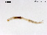  ( - ZJ272)  @11 [ ] CreativeCommons-Attribution Non-Commercial Share-Alike (2020) Xiaolong Lin Nankai University, College of Life Sciences