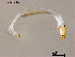  ( - ZJ029)  @11 [ ] CreativeCommons-Attribution Non-Commercial Share-Alike (2020) Xiaolong Lin Nankai University, College of Life Sciences
