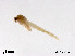  ( - ZJ300)  @11 [ ] CreativeCommons - Attribution Non-Commercial Share-Alike (2019) Xiaolong Lin College of Life Sciences, Nankai University