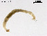 ( - ZJ312)  @11 [ ] CreativeCommons-Attribution Non-Commercial Share-Alike (2020) Xiaolong Lin Nankai University, College of Life Sciences