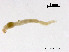  ( - ZJ313)  @11 [ ] CreativeCommons - Attribution Non-Commercial Share-Alike (2019) Xiaolong Lin College of Life Sciences, Nankai University