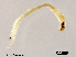  ( - ZJ34)  @11 [ ] CreativeCommons - Attribution Non-Commercial Share-Alike (2018) Xiaolong Lin College of Life Sciences, Nankai University
