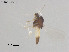  ( - ZJ352)  @11 [ ] CreativeCommons-Attribution Non-Commercial Share-Alike (2020) Xiaolong Lin Nankai University, College of Life Sciences