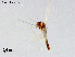  ( - ZJ390)  @11 [ ] CreativeCommons-Attribution Non-Commercial Share-Alike (2020) Xiaolong Lin Nankai University, College of Life Sciences