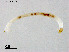  ( - ZJ443)  @11 [ ] CreativeCommons-Attribution Non-Commercial Share-Alike (2020) Xiaolong Lin Nankai University, College of Life Sciences