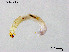  ( - ZJ445)  @11 [ ] CreativeCommons-Attribution Non-Commercial Share-Alike (2020) Xiaolong Lin Nankai University, College of Life Sciences