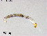  ( - ZJ449)  @11 [ ] CreativeCommons-Attribution Non-Commercial Share-Alike (2020) Xiaolong Lin Nankai University, College of Life Sciences