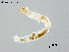  ( - ZJ476)  @11 [ ] CreativeCommons-Attribution Non-Commercial Share-Alike (2020) Xiaolong Lin Nankai University, College of Life Sciences