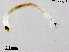  ( - ZJ482)  @11 [ ] CreativeCommons-Attribution Non-Commercial Share-Alike (2020) Xiaolong Lin Nankai University, College of Life Sciences