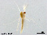  ( - ZJ539)  @11 [ ] CreativeCommons-Attribution Non-Commercial Share-Alike (2020) Xiaolong Lin Nankai University, College of Life Sciences