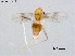  ( - ZJ566)  @11 [ ] CreativeCommons-Attribution Non-Commercial Share-Alike (2020) Xiaolong Lin Nankai University, College of Life Sciences