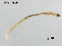  ( - ZJ622)  @11 [ ] CreativeCommons - Attribution Non-Commercial Share-Alike (2019) Xiaolong Lin College of Life Sciences, Nankai University