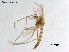  ( - ZJ668)  @11 [ ] CreativeCommons-Attribution Non-Commercial Share-Alike (2020) Xiaolong Lin Nankai University, College of Life Sciences