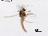  ( - ZJ709)  @11 [ ] CreativeCommons-Attribution Non-Commercial Share-Alike (2020) Xiaolong Lin Nankai University, College of Life Sciences