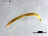  ( - ZJ722)  @11 [ ] CreativeCommons-Attribution Non-Commercial Share-Alike (2020) Xiaolong Lin Nankai University, College of Life Sciences