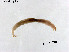  ( - ZJ767)  @11 [ ] CreativeCommons-Attribution Non-Commercial Share-Alike (2020) Xiaolong Lin Nankai University, College of Life Sciences
