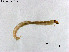  ( - ZJ768)  @11 [ ] CreativeCommons-Attribution Non-Commercial Share-Alike (2020) Xiaolong Lin Nankai University, College of Life Sciences