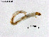  ( - ZJ774)  @11 [ ] CreativeCommons-Attribution Non-Commercial Share-Alike (2020) Xiaolong Lin Nankai University, College of Life Sciences