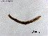  ( - ZJ781)  @11 [ ] CreativeCommons-Attribution Non-Commercial Share-Alike (2020) Xiaolong Lin Nankai University, College of Life Sciences