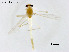  ( - ZJ971)  @11 [ ] CreativeCommons-Attribution Non-Commercial Share-Alike (2020) Xiaolong Lin Nankai University, College of Life Sciences