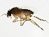  ( - BIOUG01982-H03)  @13 [ ] CreativeCommons - Attribution (2012) CBG Photography Group Centre for Biodiversity Genomics