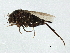  ( - BIOUG02056-A04)  @12 [ ] CreativeCommons - Attribution (2012) CBG Photography Group Centre for Biodiversity Genomics