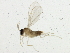  ( - BIOUG02056-B05)  @13 [ ] CreativeCommons - Attribution (2012) CBG Photography Group Centre for Biodiversity Genomics