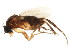  ( - BIOUG01915-C11)  @13 [ ] CreativeCommons - Attribution (2012) CBG Photography Group Centre for Biodiversity Genomics
