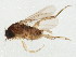  ( - BIOUG01915-D02)  @13 [ ] CreativeCommons - Attribution (2012) CBG Photography Group Centre for Biodiversity Genomics