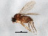  ( - BIOUG01920-D12)  @13 [ ] CreativeCommons - Attribution (2012) CBG Photography Group Centre for Biodiversity Genomics