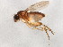  ( - BIOUG01920-H02)  @14 [ ] CreativeCommons - Attribution (2012) CBG Photography Group Centre for Biodiversity Genomics