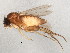  ( - BIOUG01920-H05)  @13 [ ] CreativeCommons - Attribution (2012) CBG Photography Group Centre for Biodiversity Genomics