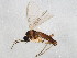  ( - BIOUG01923-D02)  @12 [ ] CreativeCommons - Attribution (2012) CBG Photography Group Centre for Biodiversity Genomics