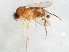  ( - BIOUG01929-A07)  @13 [ ] CreativeCommons - Attribution (2012) CBG Photography Group Centre for Biodiversity Genomics