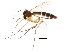  ( - BIOUG01931-C05)  @14 [ ] CreativeCommons - Attribution (2012) CBG Photography Group Centre for Biodiversity Genomics