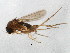  ( - BIOUG01953-B12)  @13 [ ] CreativeCommons - Attribution (2012) CBG Photography Group Centre for Biodiversity Genomics