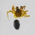  ( - HLA.122897)  @11 [ ] CreativeCommons - Attribution Non-Commercial (2019) Marko Mutanen University of Oulu