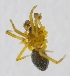  ( - HLA.140038)  @11 [ ] CreativeCommons - Attribution Non-Commercial (2019) Marko Mutanen University of Oulu