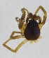  ( - HLA.153818)  @11 [ ] CreativeCommons - Attribution Non-Commercial (2019) Marko Mutanen University of Oulu