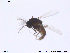  ( - CH-eik03)  @12 [ ] CreativeCommons - Attribution Non-Commercial Share-Alike (2013) NTNU Museum of Natural History and Archaeology NTNU Museum of Natural History and Archaeology