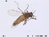  ( - CH-eik04)  @12 [ ] CreativeCommons - Attribution Non-Commercial Share-Alike (2013) NTNU Museum of Natural History and Archaeology NTNU Museum of Natural History and Archaeology