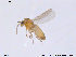  ( - CH-eik06)  @13 [ ] CreativeCommons - Attribution Non-Commercial Share-Alike (2013) NTNU Museum of Natural History and Archaeology NTNU Museum of Natural History and Archaeology
