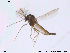  ( - CH-eik10)  @13 [ ] CreativeCommons - Attribution Non-Commercial Share-Alike (2013) NTNU Museum of Natural History and Archaeology NTNU Museum of Natural History and Archaeology