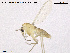  ( - CH-eik112)  @12 [ ] CreativeCommons - Attribution Non-Commercial Share-Alike (2013) NTNU Museum of Natural History and Archaeology NTNU Museum of Natural History and Archaeology