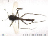  ( - CH-eik135)  @12 [ ] CreativeCommons - Attribution Non-Commercial Share-Alike (2013) NTNU Museum of Natural History and Archaeology NTNU Museum of Natural History and Archaeology