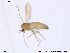  ( - CH-eik16)  @13 [ ] CreativeCommons - Attribution Non-Commercial Share-Alike (2013) NTNU Museum of Natural History and Archaeology NTNU Museum of Natural History and Archaeology