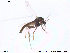  ( - CH-eik37)  @12 [ ] CreativeCommons - Attribution Non-Commercial Share-Alike (2013) NTNU Museum of Natural History and Archaeology NTNU Museum of Natural History and Archaeology