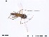  ( - CH-eik38)  @13 [ ] CreativeCommons - Attribution Non-Commercial Share-Alike (2013) NTNU Museum of Natural History and Archaeology NTNU Museum of Natural History and Archaeology